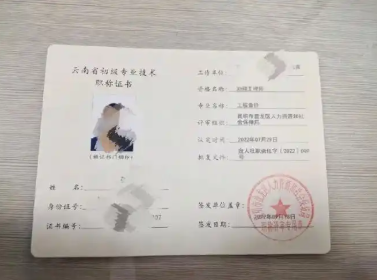 評審職稱的流程和條件全解析！自己辦還是找機構？